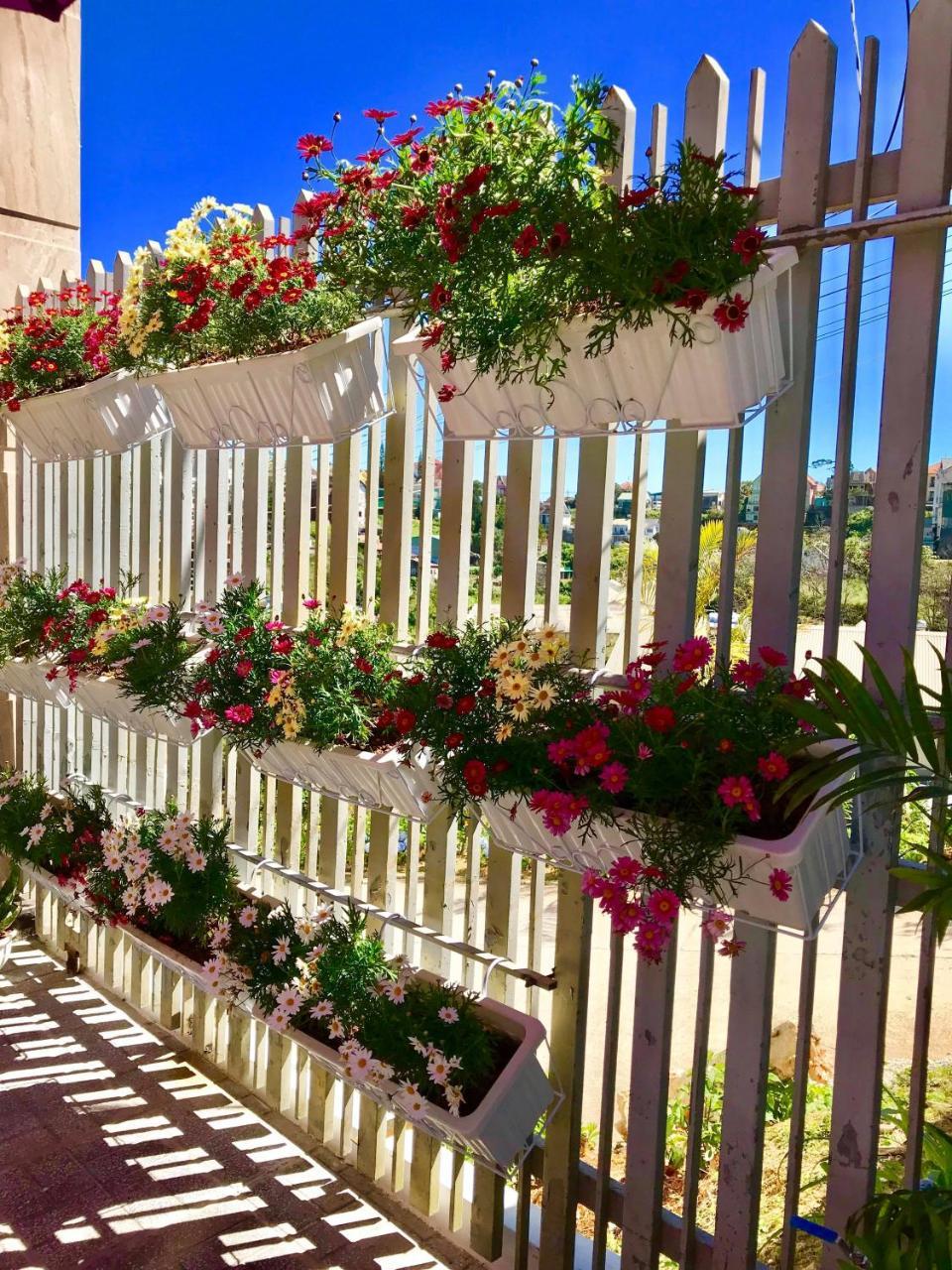 Aurora Hotel Dalat Екстер'єр фото